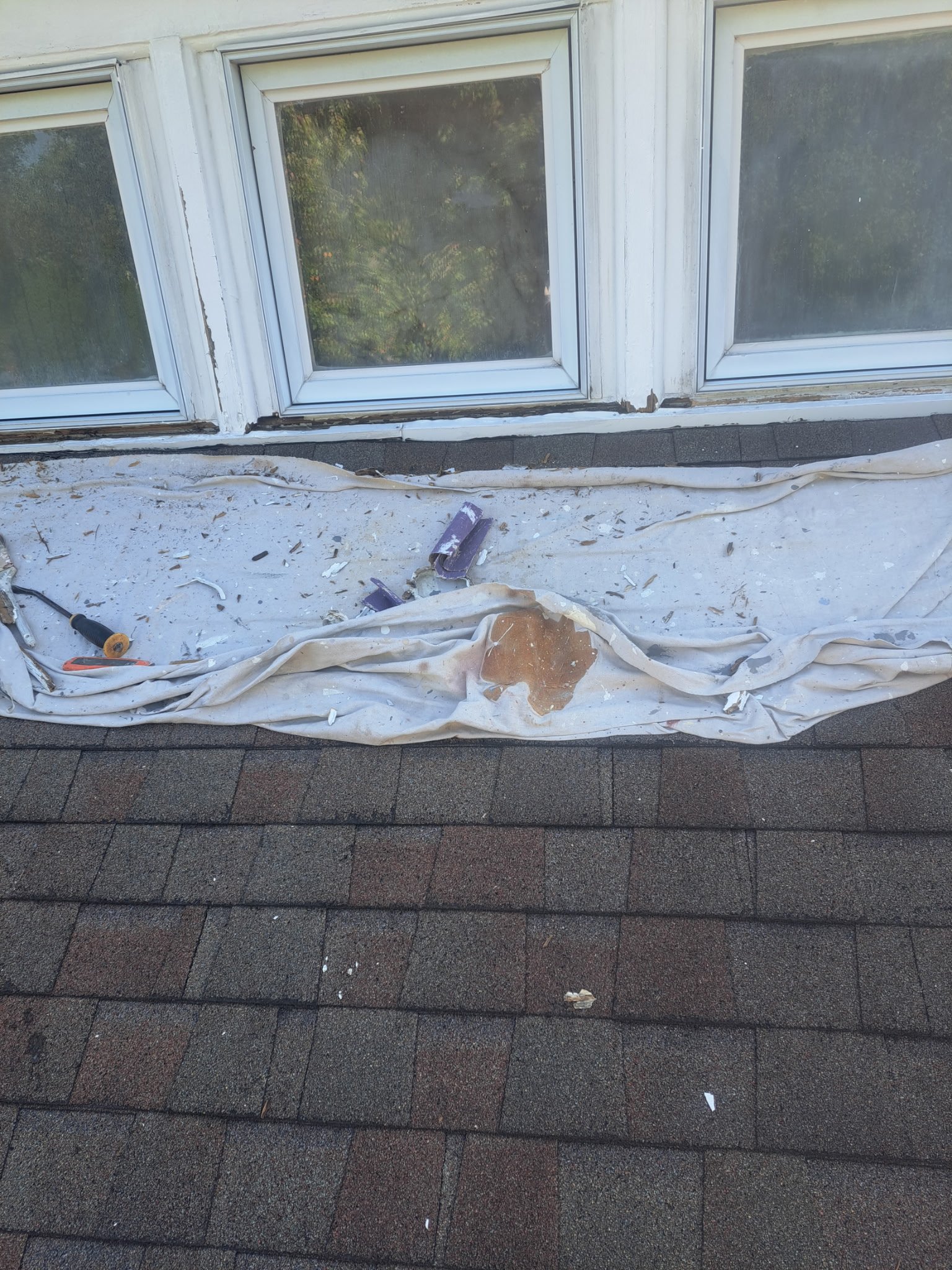 Proyecto de Sistemas GTO